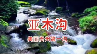 原创baby吴谨言先救谁?本以为郭麒麟情商够高了,直到见郑恺,厉害了